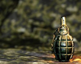 В Челябинской области на территории коррекционной школы обнаружили гранату