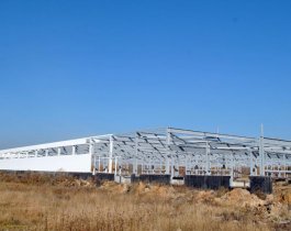 Будет икра, сомы и осетры: на Южном Урале построят два рыбных завода