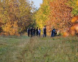 Отвоевали «Плодушку»: многолетний спор за землю завершился в пользу Челябинска