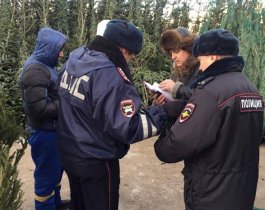 14 продавцов елок оштрафовали за повреждение челябинских дорог