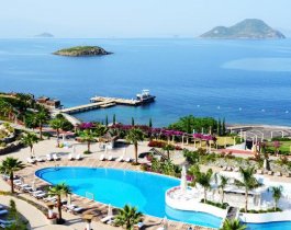 Уральская турфирма строит «пирамиду» по принципу МММ