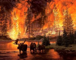 В трех муниципальных районах Южного Урала введен особый противопожарный режим.