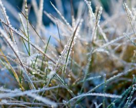 На Южный Урал идет холодный фронт. Ожидаются заморозки