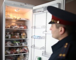 На память: в Челябинске постоялец, съезжая, прихватил холодильник хозяйки