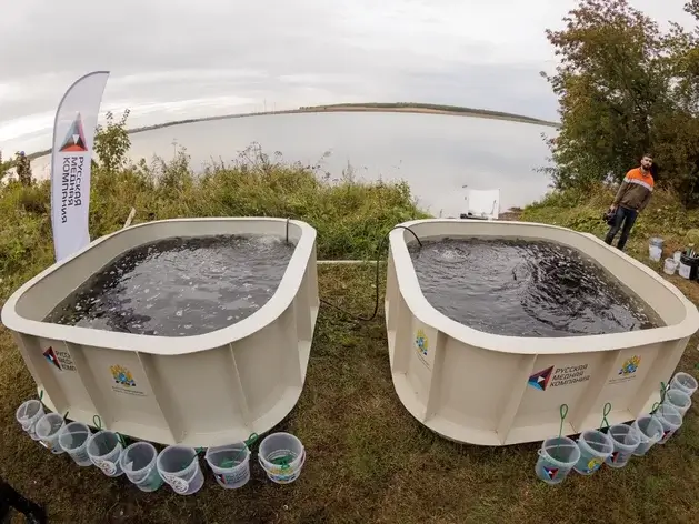 УГМК и РМК соревнуются, кто выпустит больше рыбы в Шершни