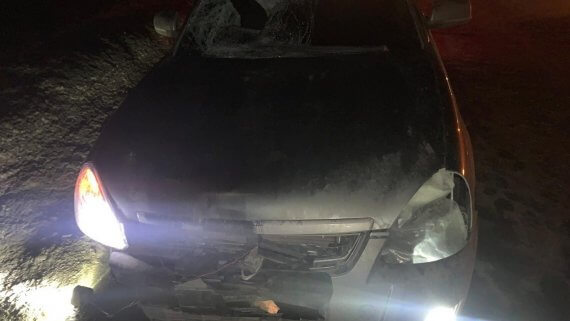 На трассе в Челябинской области легковушка насмерть сбила пешехода