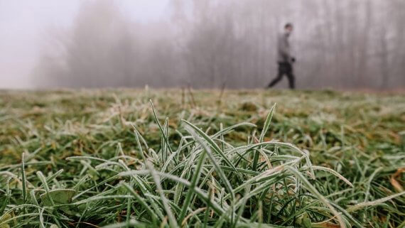 В Челябинской области сохраняются ночные заморозки
