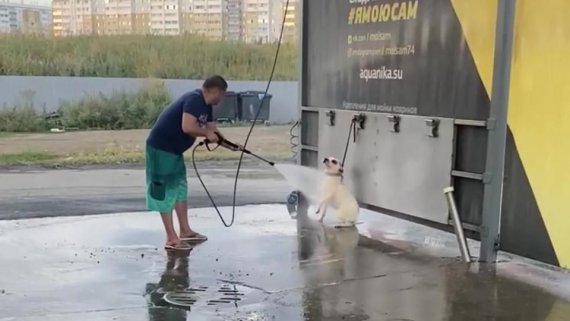 Челябинец помыл собаку на автомойке самообслуживания