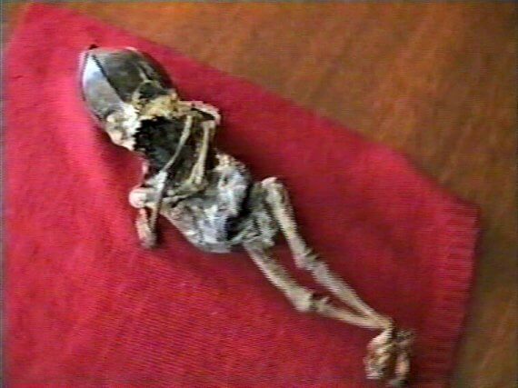 Инопланетяне прилетели за останками своего "уральского брата" Алешеньки