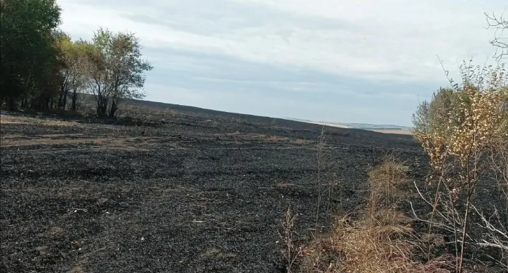 В Кизильском округе устанавливают виновников пожара, уничтожившего зерновые