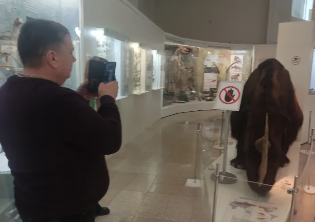В челябинском музее хранятся зуб акулы и скорлупа яйца динозавра