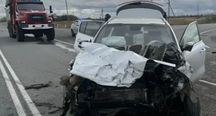 В ДТП под Троицком погибла гражданка Казахстана