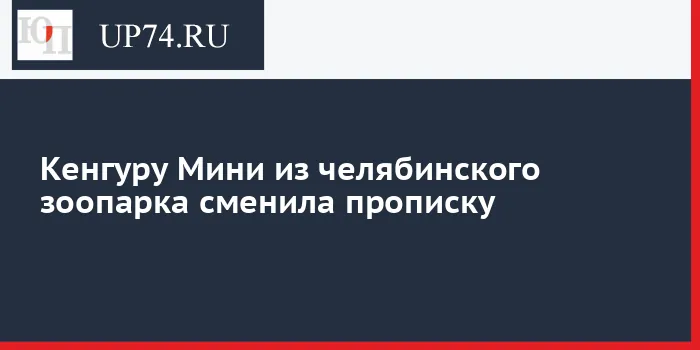 Кенгуру Мини из Челябинского зоопарка отправилась в Нижний Новгород